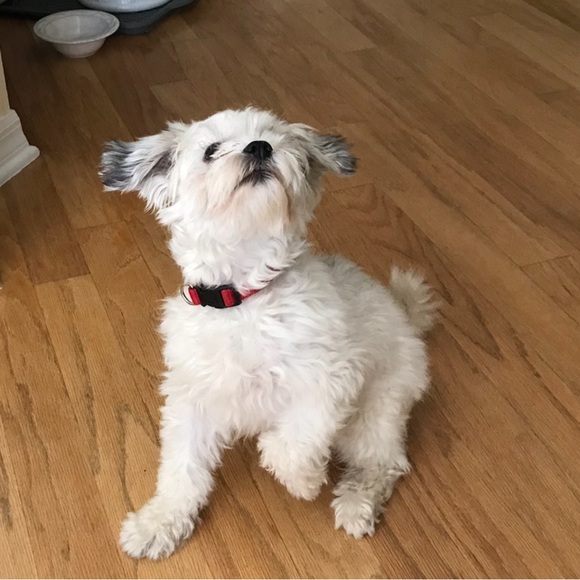 Meet your Posher, Katherine - Picture 7 of 8